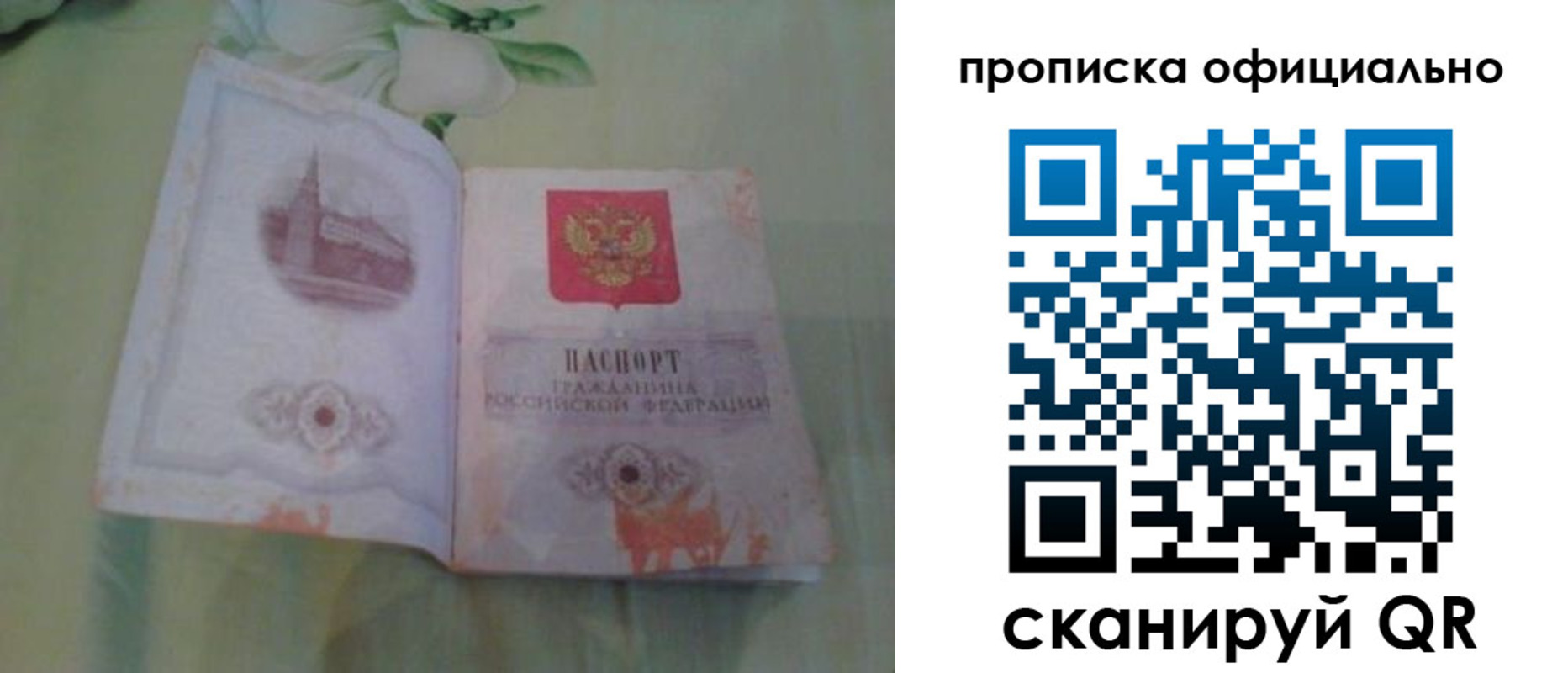 где прописаться в Лодейном Поле